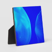 kwal fotoplaat (Voorkant)