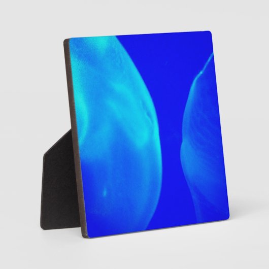 kwal fotoplaat (Voorkant)