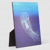 kwal fotoplaat (Zijkant)