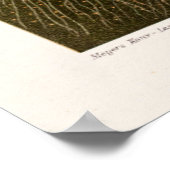  kwal Illustratie Antiek Jelly Fish Poster (Hoek)