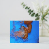 kwal in een aquarium briefkaart (Staand voorkant)