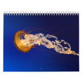 kwal kalender (Hoes)