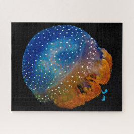 Kwal Legpuzzel