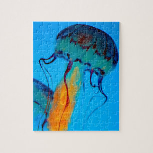 kwal legpuzzel