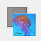 kwal magneet (Voorkant / Achterkant)