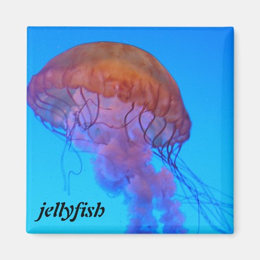 kwal magneet (Voorkant)