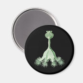 kwal magneet (Voorkant / Achterkant)