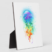 Kwal met regenboogkleuren fotoplaat (Zijkant)