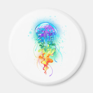 Kwal met regenboogkleuren magneet