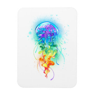Kwal met regenboogkleuren magneet
