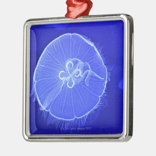 kwal metalen ornament (Links)