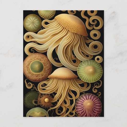 kwal | Modern Haeckel Briefkaart (Voorkant)