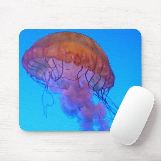 kwal muismat (Met muis)