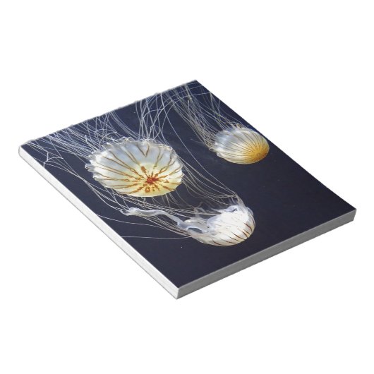 kwal notitieblok (Schuin)