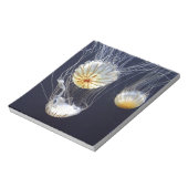 kwal notitieblok (Linkerzijde)