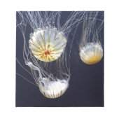 kwal notitieblok (Voorkant)