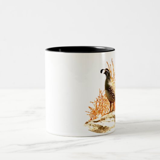 KWAL OP ROCK TWEEKLEURIGE KOFFIEMOK (Center)