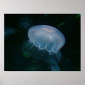 kwal poster (Voorkant)