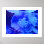 kwal poster (Voorkant)