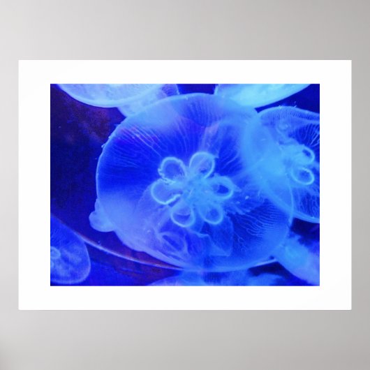 kwal poster (Voorkant)