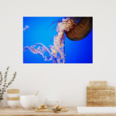 kwal poster (Keuken)