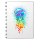 Kwal regenboog notitieboek (Voorkant)