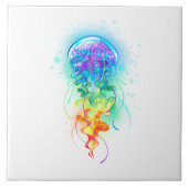 Kwal regenboog tegeltje (Voorkant)