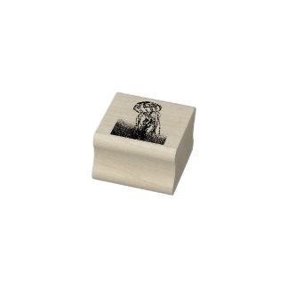 Kwal Rubberstempel