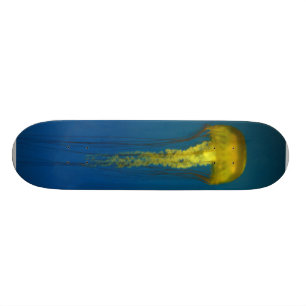 kwal skateboard