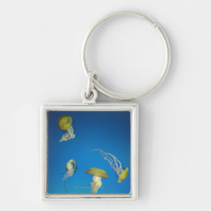 kwal sleutelhanger
