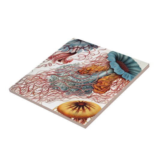  kwal tegeltje (Zijkant)