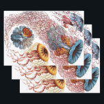 Kwal uit de Vintage collectie van Ernst Haeckel, D Inpakpapier Vel<br><div class="desc">Antieke illustratie van het mariene leven,  biologie ontwerp van Ernst Haeckel. Een verscheidenheid aan kleurrijke kwal dieren die zwemmen in de wateren van de zee. Kwallen zijn vrijzwemmende waterdieren met een paraplu-vormig lichaam en lange,  hangende tentakels. Ze kunnen worden gevonden in alle oceanen en sommige in zoetwatermeren en -rivieren.</div>