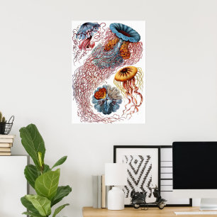 Kwal uit de Vintage collectie van Ernst Haeckel, D Poster