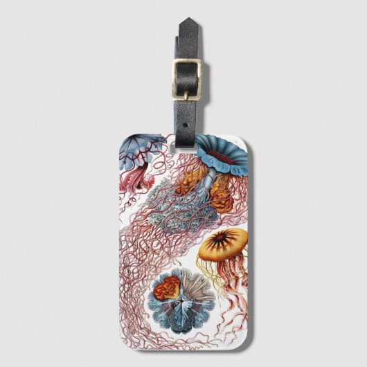 Kwal uit de Vintage tijd door Ernst Haeckel, Disco Bagagelabel (Voorkant (verticaal))