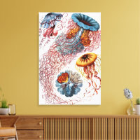 Kwal uit de Vintage tijd door Ernst Haeckel, Disco