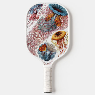 Kwal uit de Vintage tijd door Ernst Haeckel, Disco Pickleball Paddle