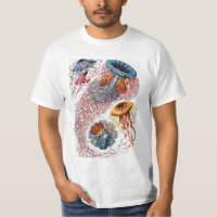 Kwal uit de Vintage tijd van Ernst Haeckel, Discom