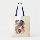 Kwal uit de Vintage tijd van Ernst Haeckel, Discom Tote Bag (Voorkant)