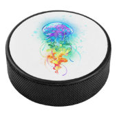 Kwal van de regenboog hockey puck (3/4)