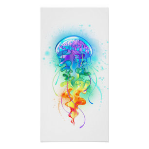 Kwal van de regenboog perfect poster
