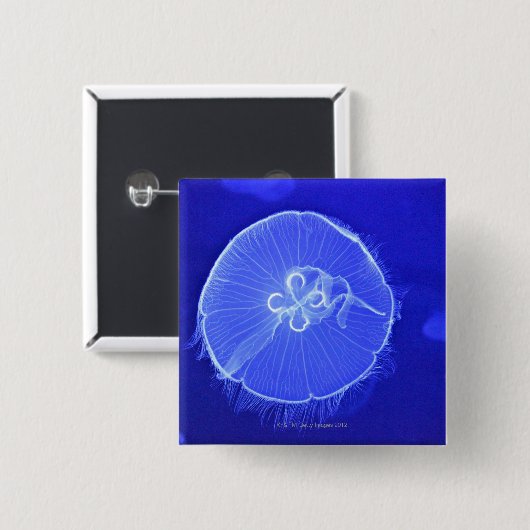 kwal vierkante button 5,1 cm (Voorkant /achterkant)