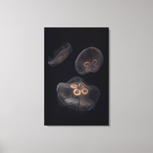 Kwal Zwemt Canvas Afdruk (Voorkant)