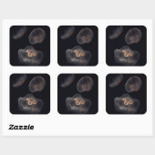 Kwal Zwemt Vierkante Sticker (Vel)