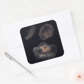 Kwal Zwemt Vierkante Sticker (Envelop)