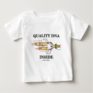 Kwaliteit DNA Inside (DNA-replicatie)