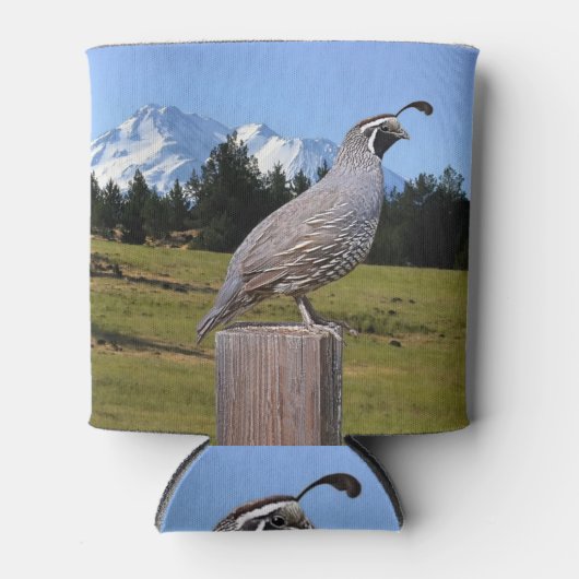 KWALITEIT OP DREAMPUNT BLIKJESKOELER (Voorkant)