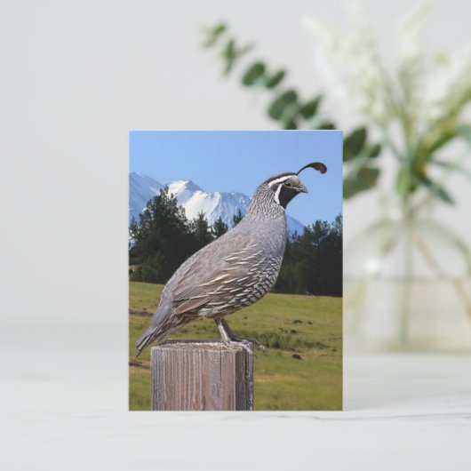 KWALITEIT OP DREAMPUNT BRIEFKAART (Staand voorkant)