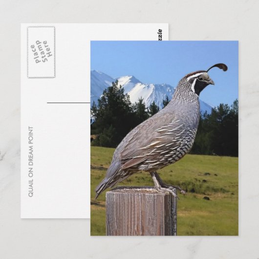 KWALITEIT OP DREAMPUNT BRIEFKAART (Voorkant / Achterkant)