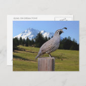 KWALITEIT OP DREAMPUNT BRIEFKAART (Voorkant / Achterkant)