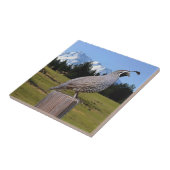 KWALITEIT OP DREAMPUNT TEGELTJE (Zijkant)